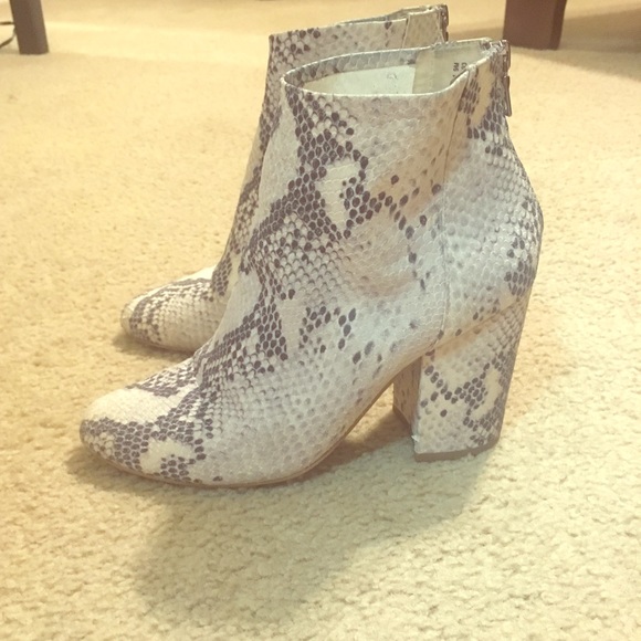 star booties steve madden